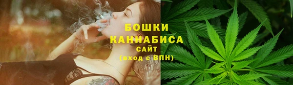 дживик Каменка