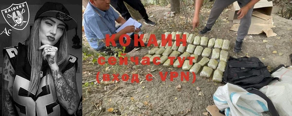 дживик Каменка