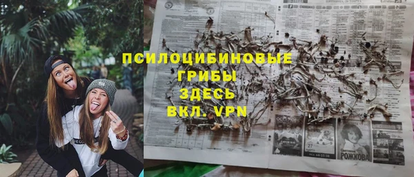 дживик Каменка