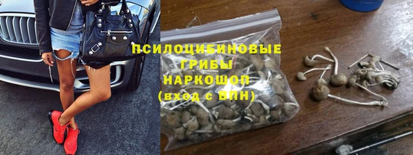 дживик Каменка