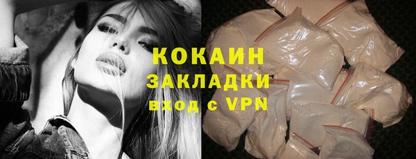 дживик Каменка