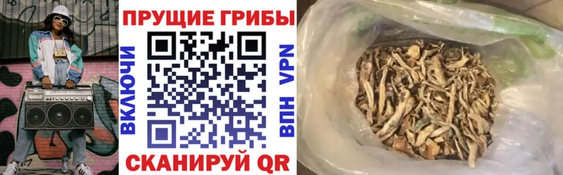 Псилоцибиновые грибы GOLDEN TEACHER  Купить где  Воскресенск 
